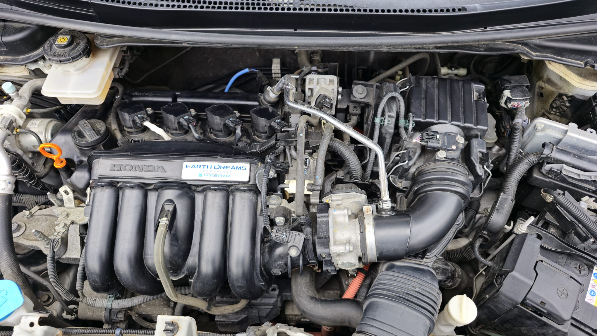 
								Honda Jazz full									